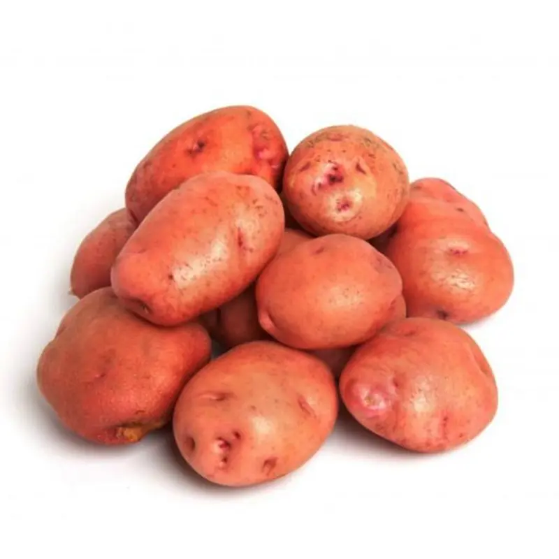 Papa Rosada