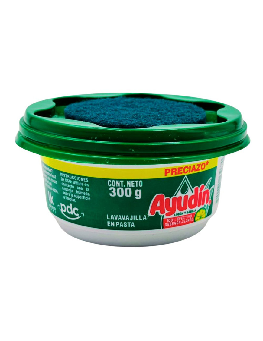 Ayudin En Pasta 300g